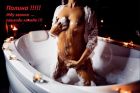 Молодая шлюха Настенька !!!, Волгоград, от 1600 руб. в час, услуги круглосуточно